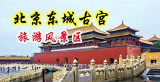 性爱动图大肉棒中国北京-东城古宫旅游风景区